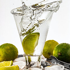 Daniel Kimm, Gin-Experte Sierra Madre GmbH