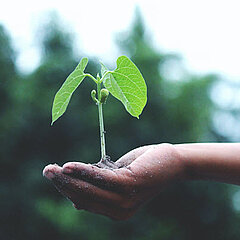 Daniel Sailer & Jan Rabe, Metzler Asset Management GmbH / Prof. Dr. Henning Zülch, HHL Leipzig Graduate School of Management